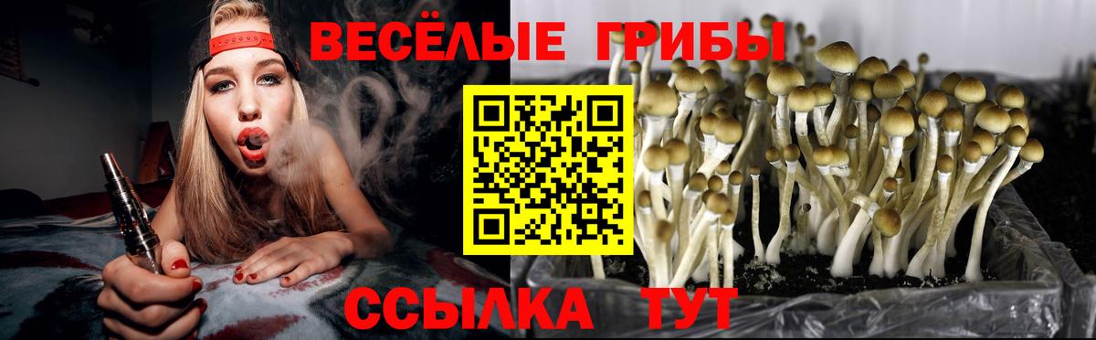 Галлюциногенные грибы GOLDEN TEACHER  Вход с VPN  Псилоцибиновые грибы MAGIC MUSHROOMS  Новороссийск 