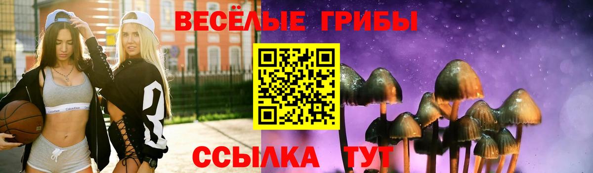 Псилоцибиновые грибы Psilocybine cubensis Новороссийск